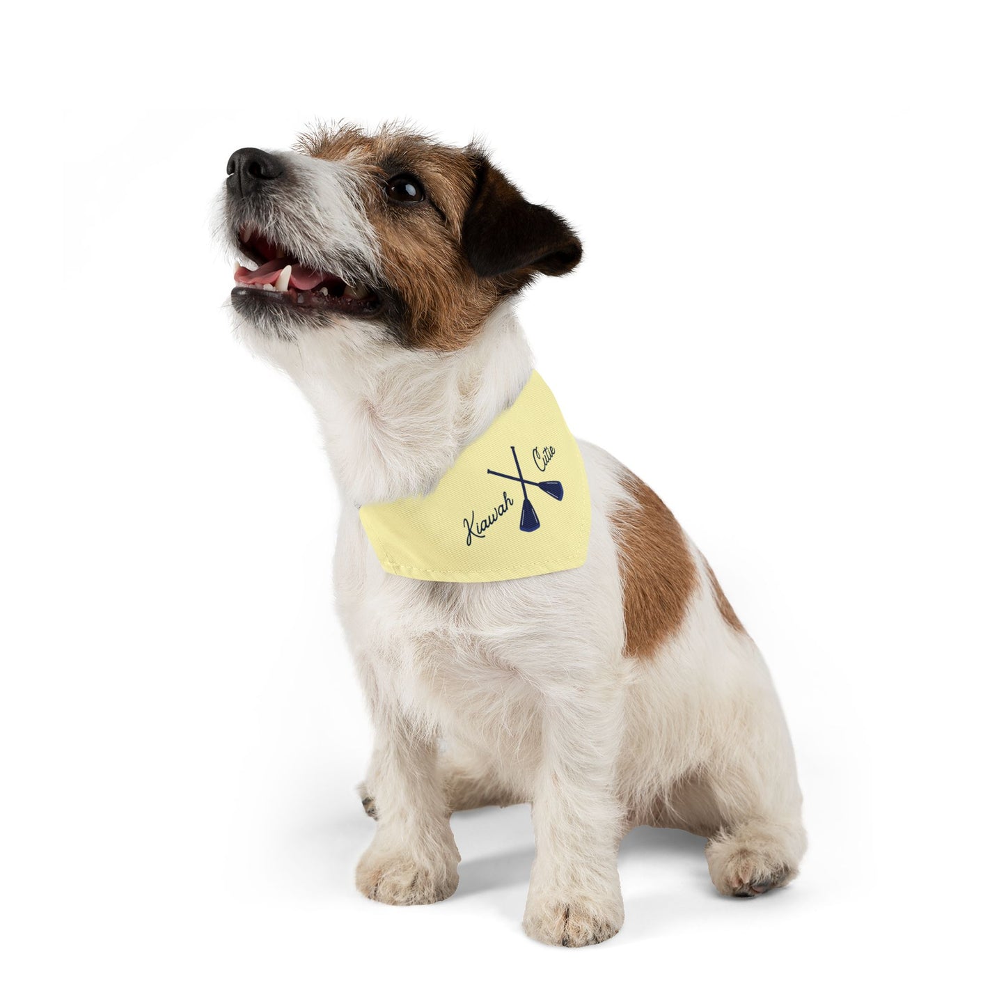 Kiawah Cutie Bandana – Everblue Coastal Pup Collection