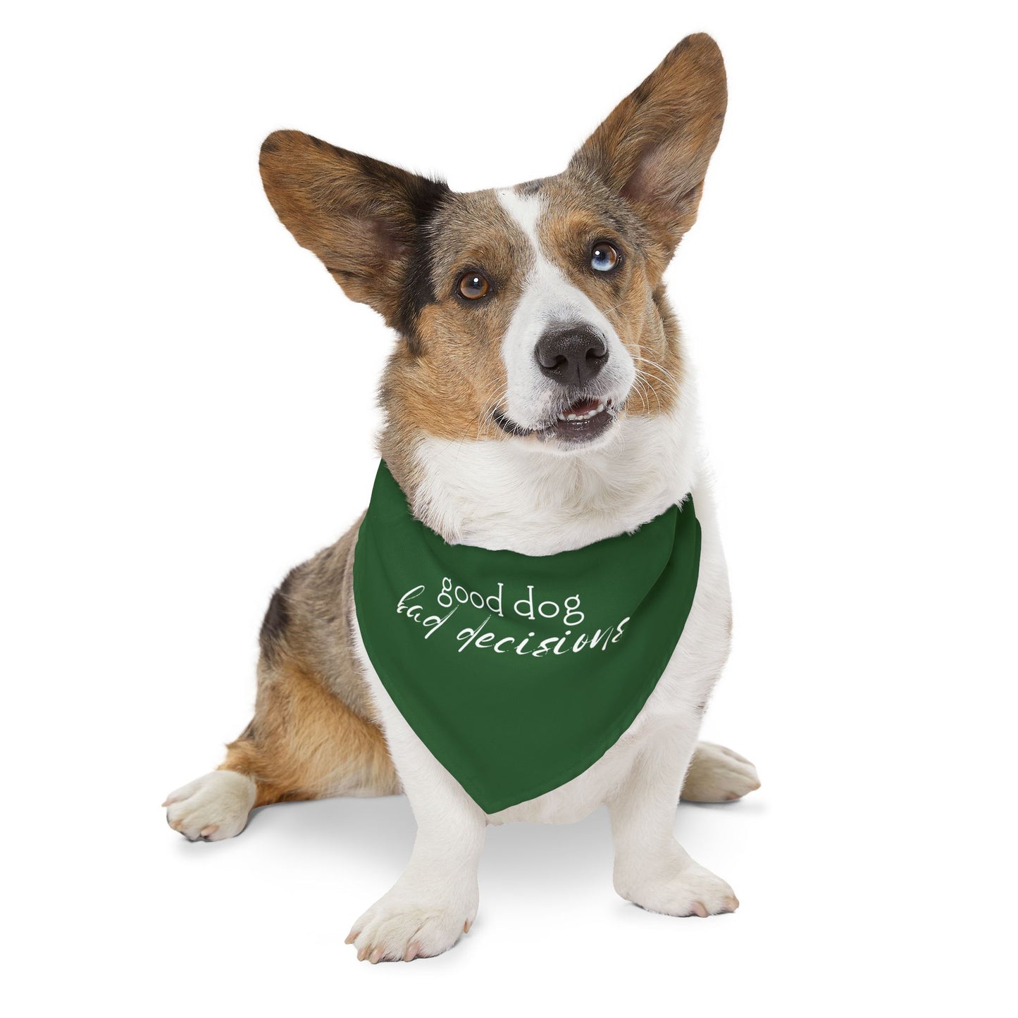 Good Dog, Bad Decisions Bandana – Everblue Edition
