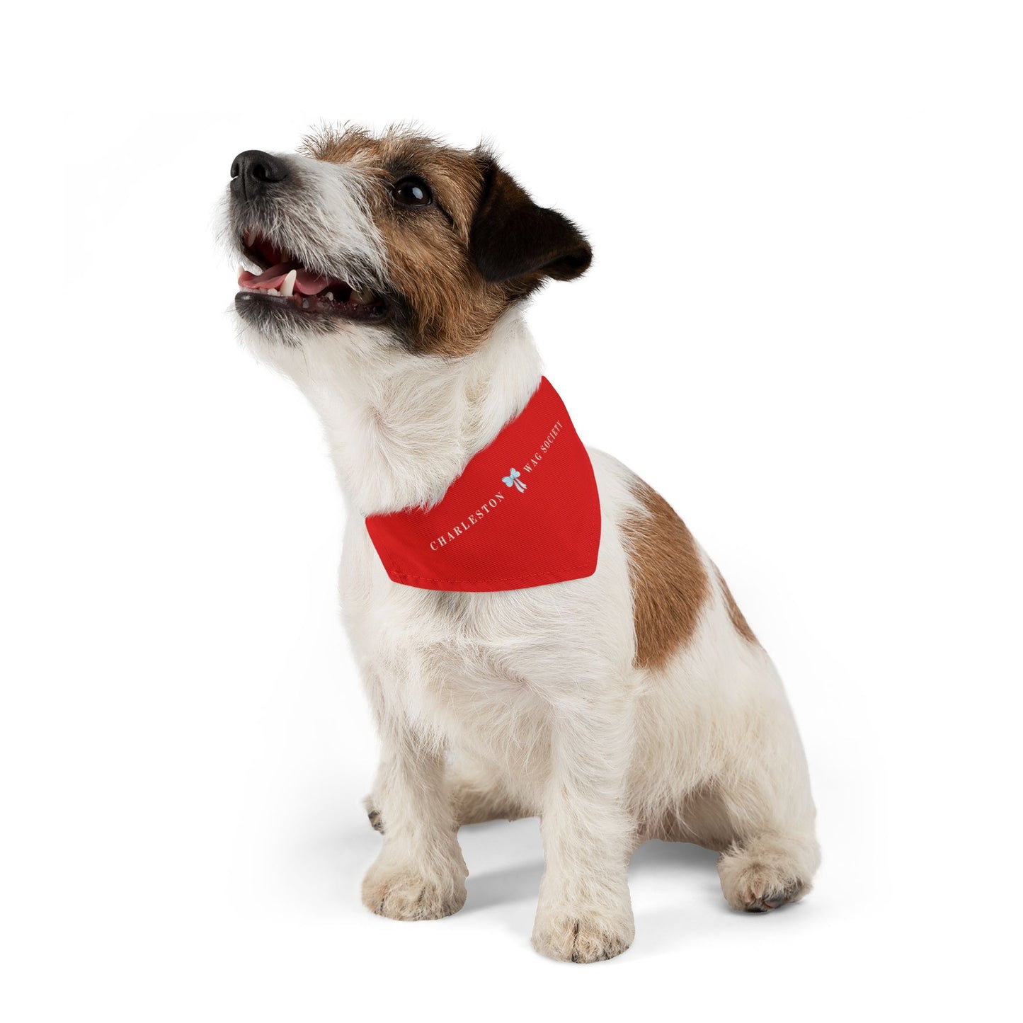 Charleston Wag Society™ Bandana – EverBlue Edition