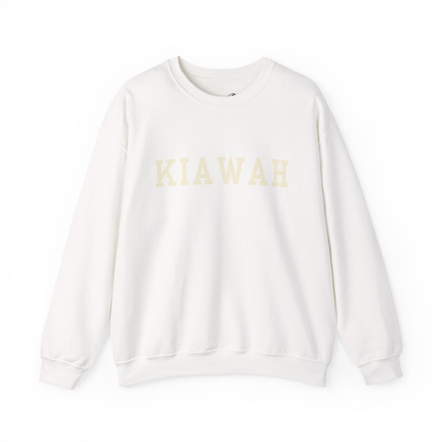 Coastal Collegiate Comfort: The Softstyle Kiawah Crewneck