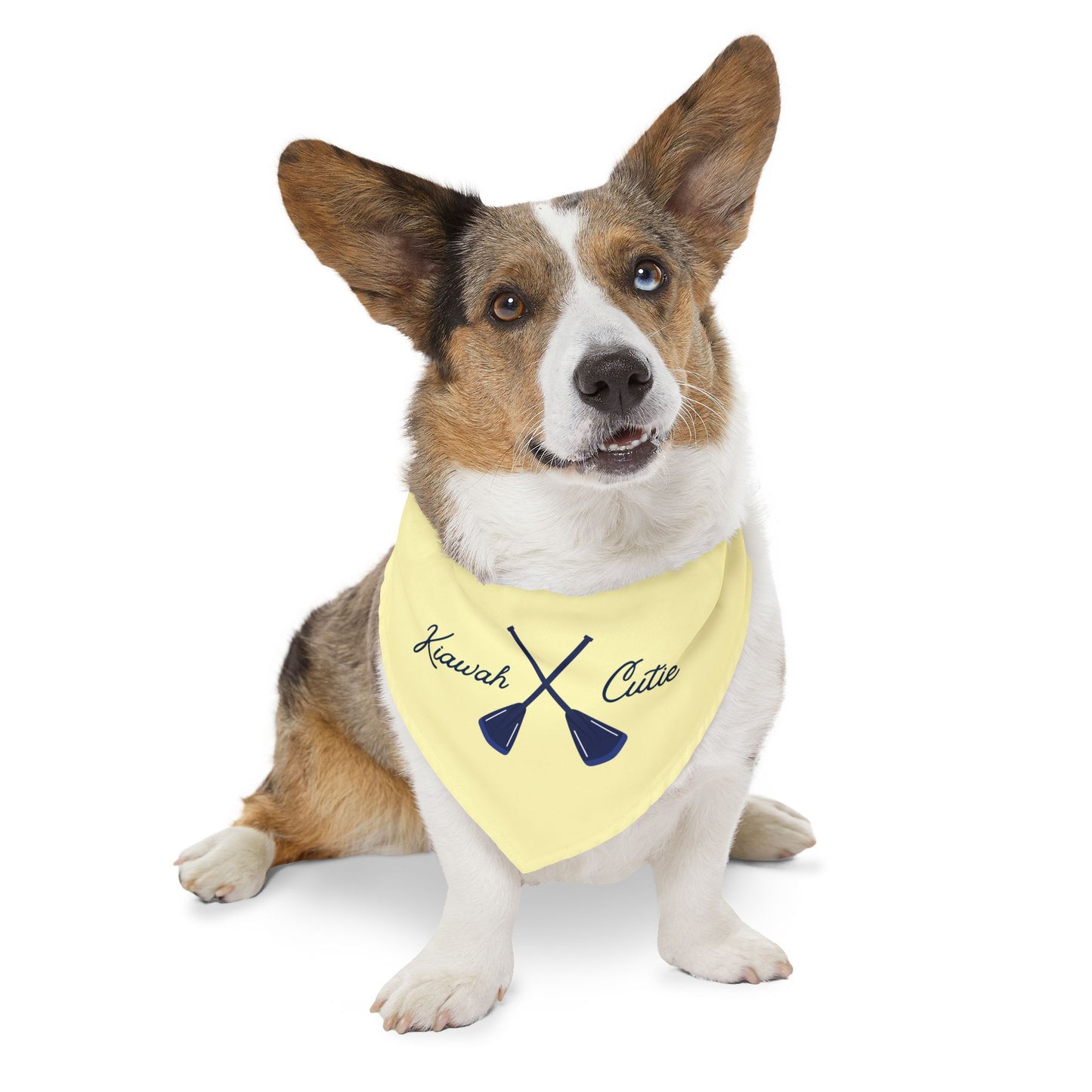 Kiawah Cutie Bandana – Everblue Coastal Pup Collection