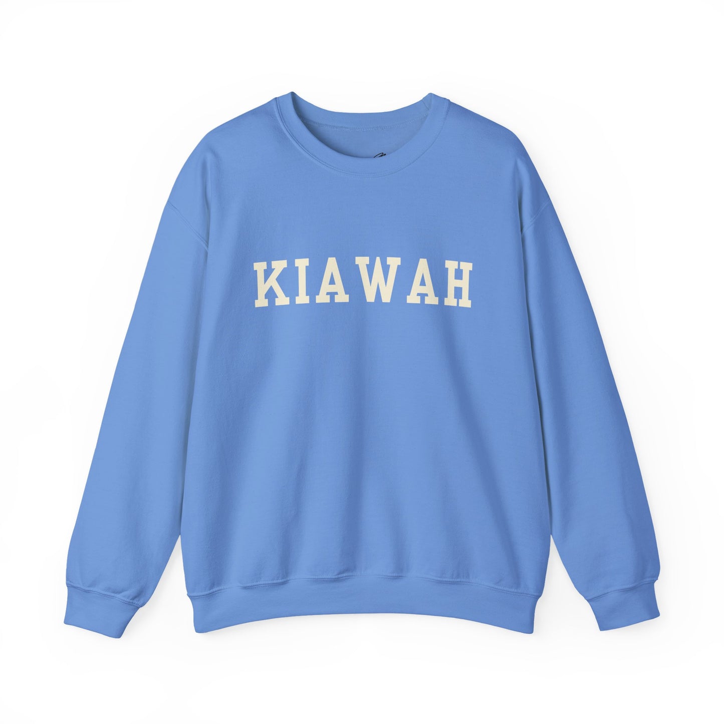 Coastal Collegiate Comfort: The Softstyle Kiawah Crewneck