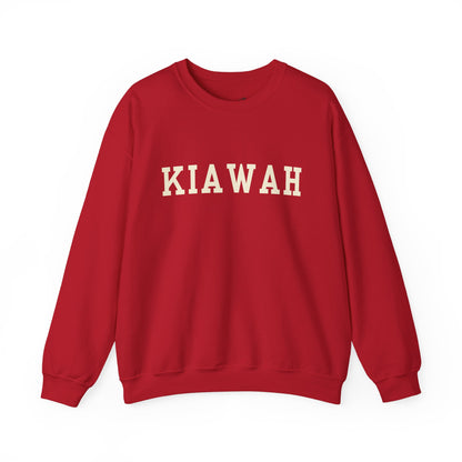 Coastal Collegiate Comfort: The Softstyle Kiawah Crewneck