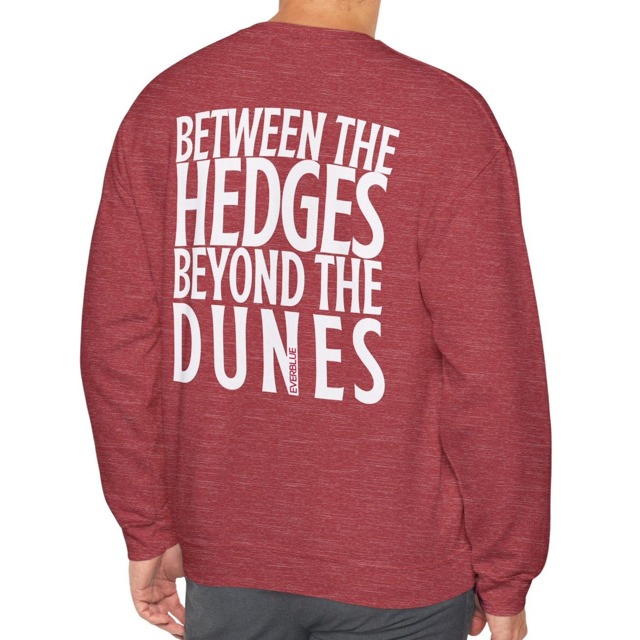 Between the Hedges, Beyond the Dunes Tee – University of Georgia Gameday