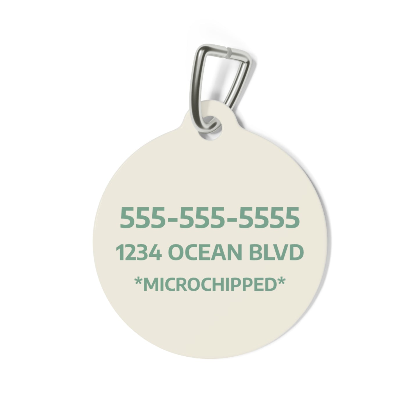 "Favorite Daughter" Sardine Pet Tag – Personalized Pet ID