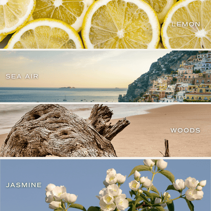 Coastal Lemon Hanging Air Freshener