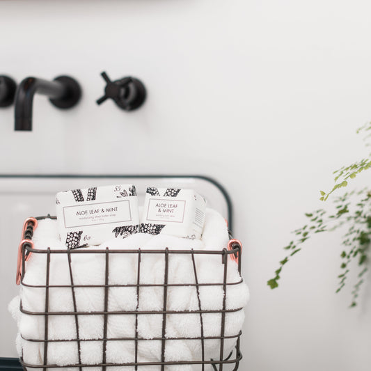 Aloe Leaf & Mint - Shea Butter Soap